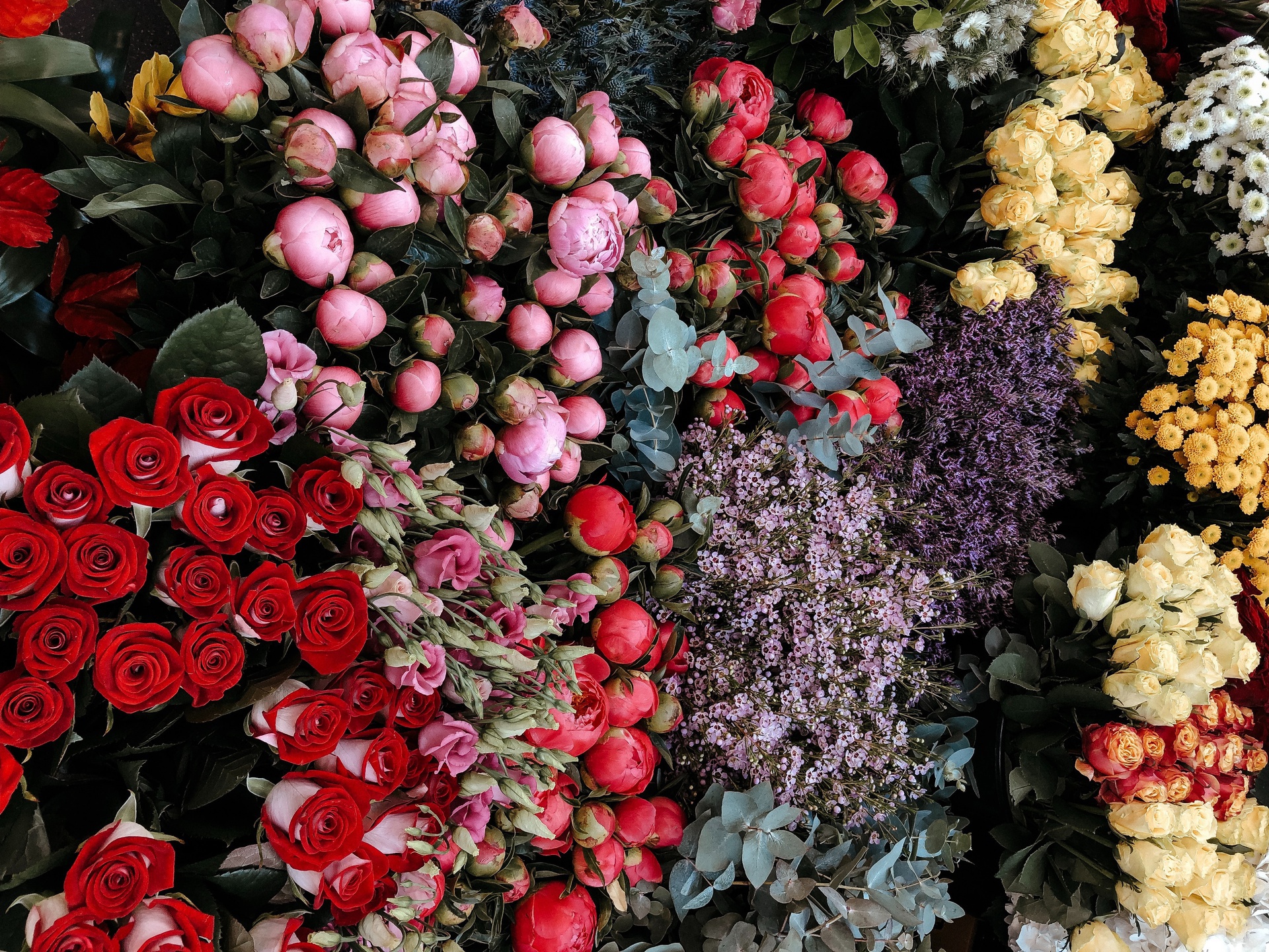 上海小程序開發(fā)，上海鮮花批發(fā)商城小程序開發(fā)，擁抱行業(yè)新機遇