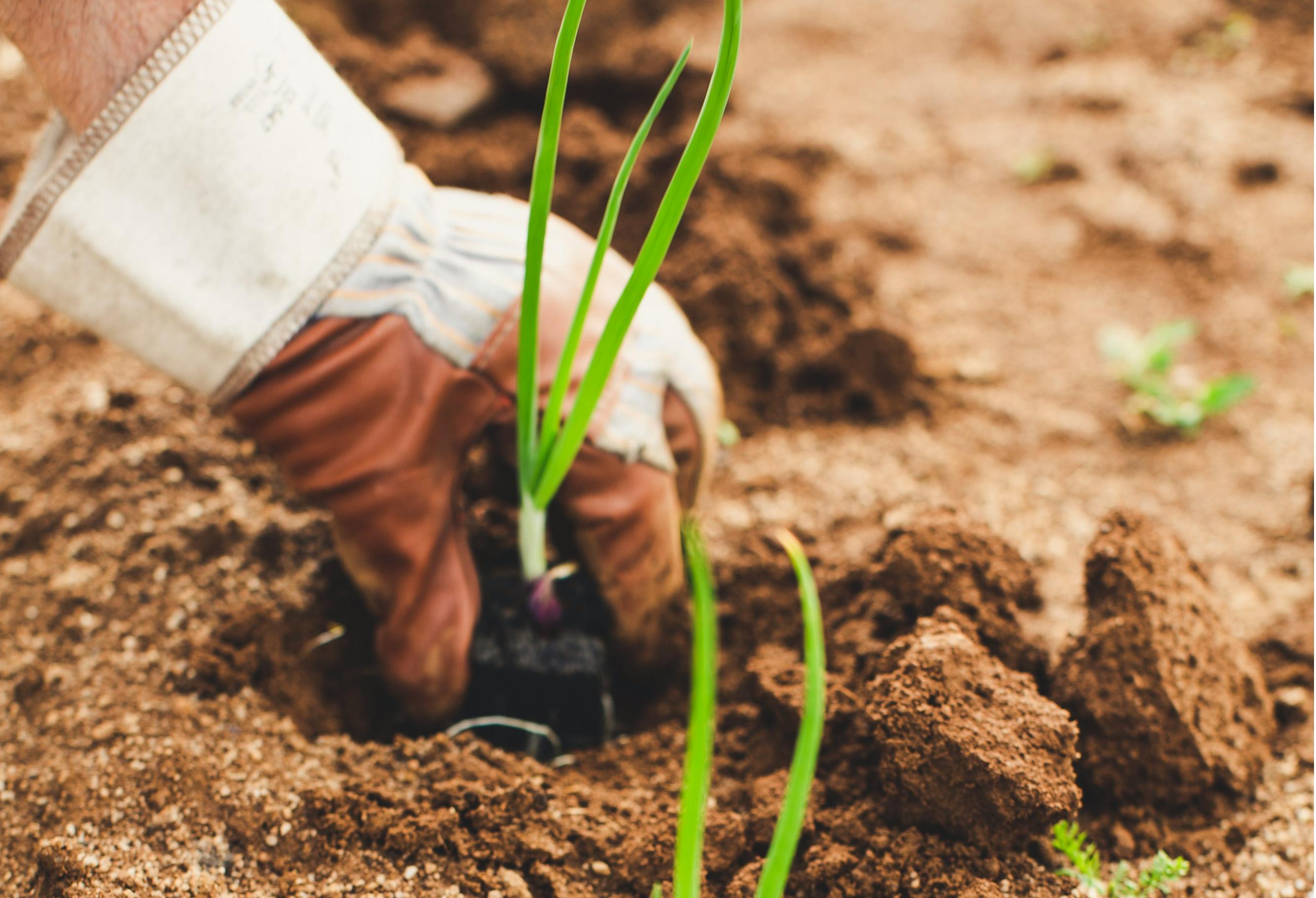 智慧農(nóng)業(yè)